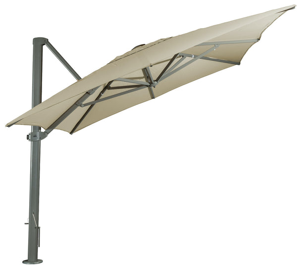 Asta Umbrella