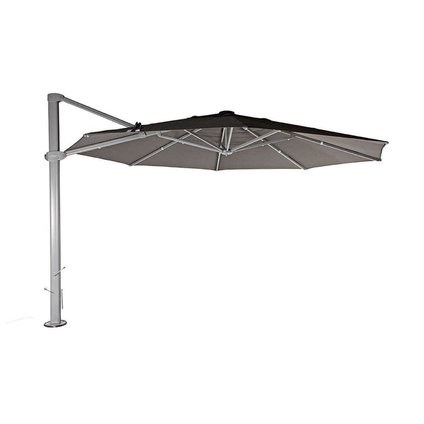 Asta Umbrella